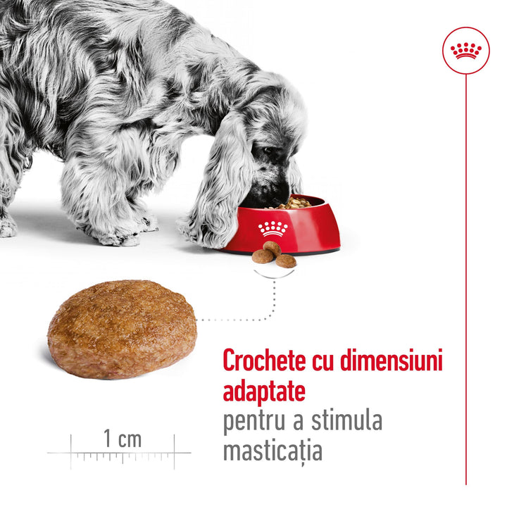 Royal Canin Medium Adult 7+ hrana uscata caine, 15 kg