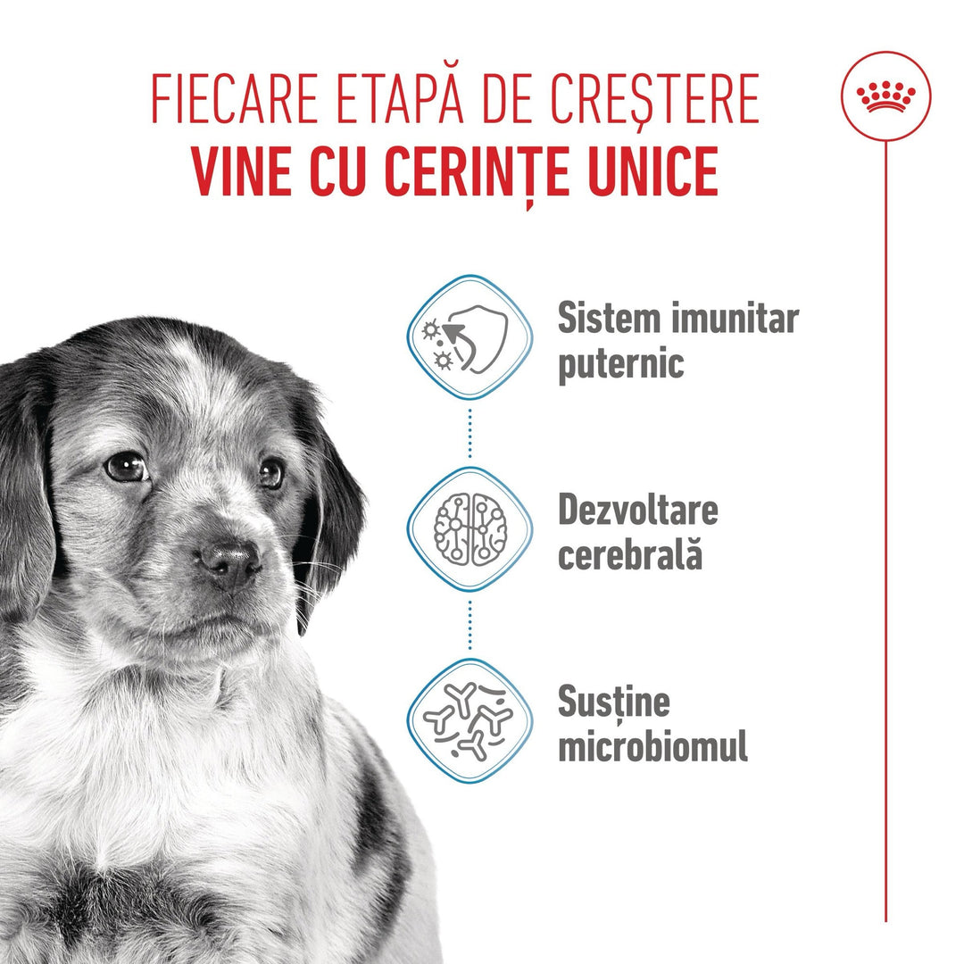 Royal Canin Medium Puppy hrana uscata caine junior, 12 kg