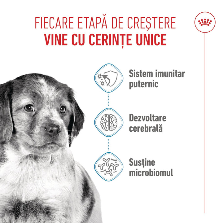 Royal Canin Medium Puppy hrana uscata caine junior, 12 kg
