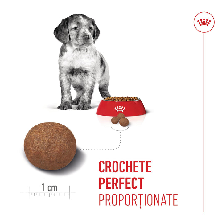 Royal Canin Medium Puppy hrana uscata caine junior, 1 kg