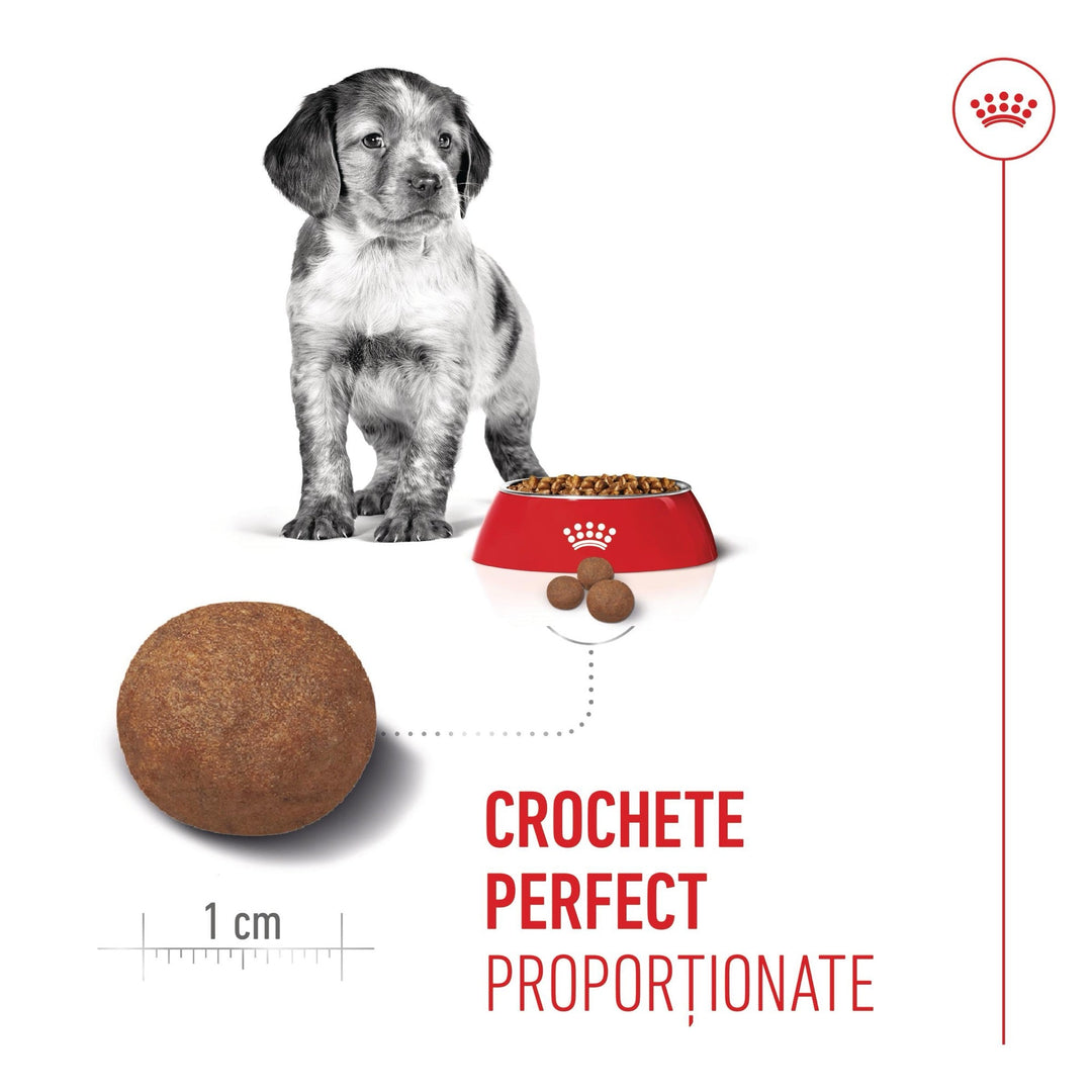 Royal Canin Medium Puppy hrana uscata caine junior, 12 kg