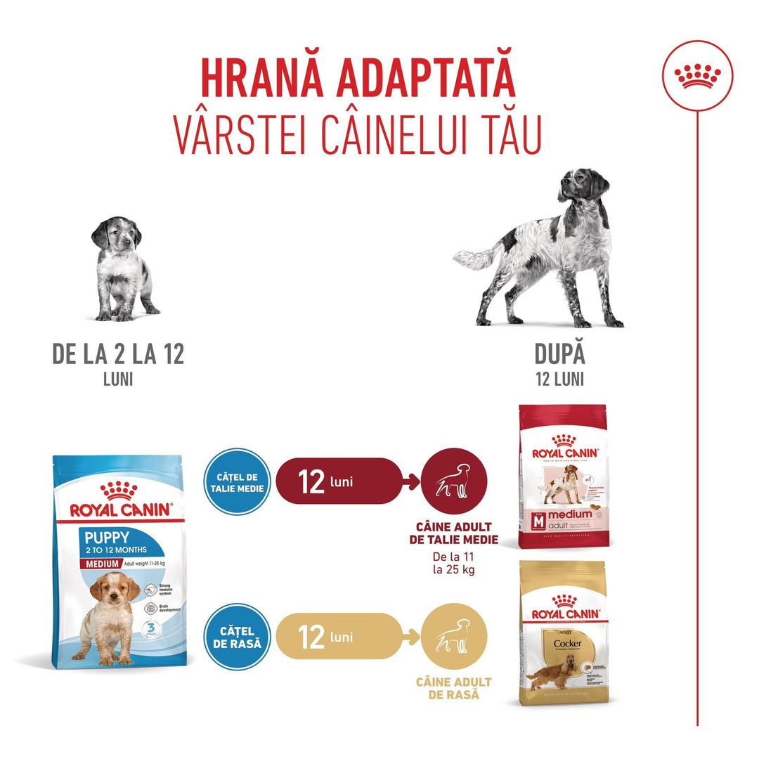 Royal Canin Medium Puppy hrana uscata caine junior, 12 kg