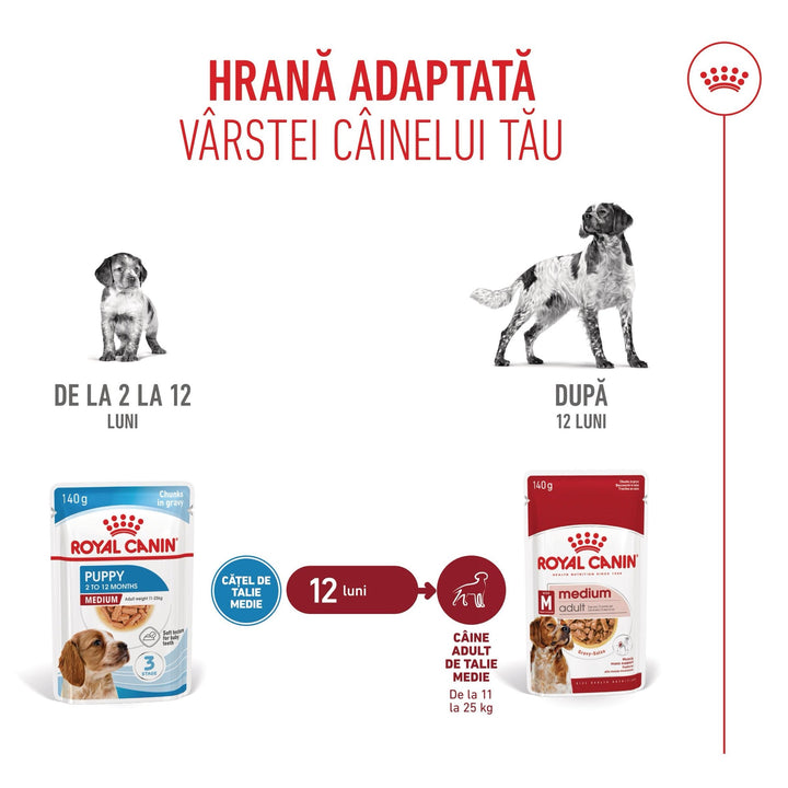 Royal Canin Medium Puppy hrana umeda caine junior (in sos), 10 x 140 g