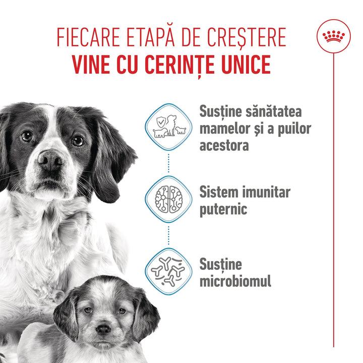 Royal Canin Medium Starter Mother &amp; Babydog, mama si puiul, hrana uscata caine, 15 kg