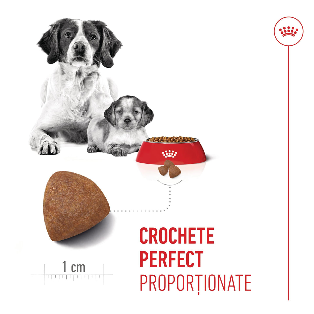 Royal Canin Medium Starter Mother &amp; Babydog, mama si puiul, hrana uscata caine, 15 kg