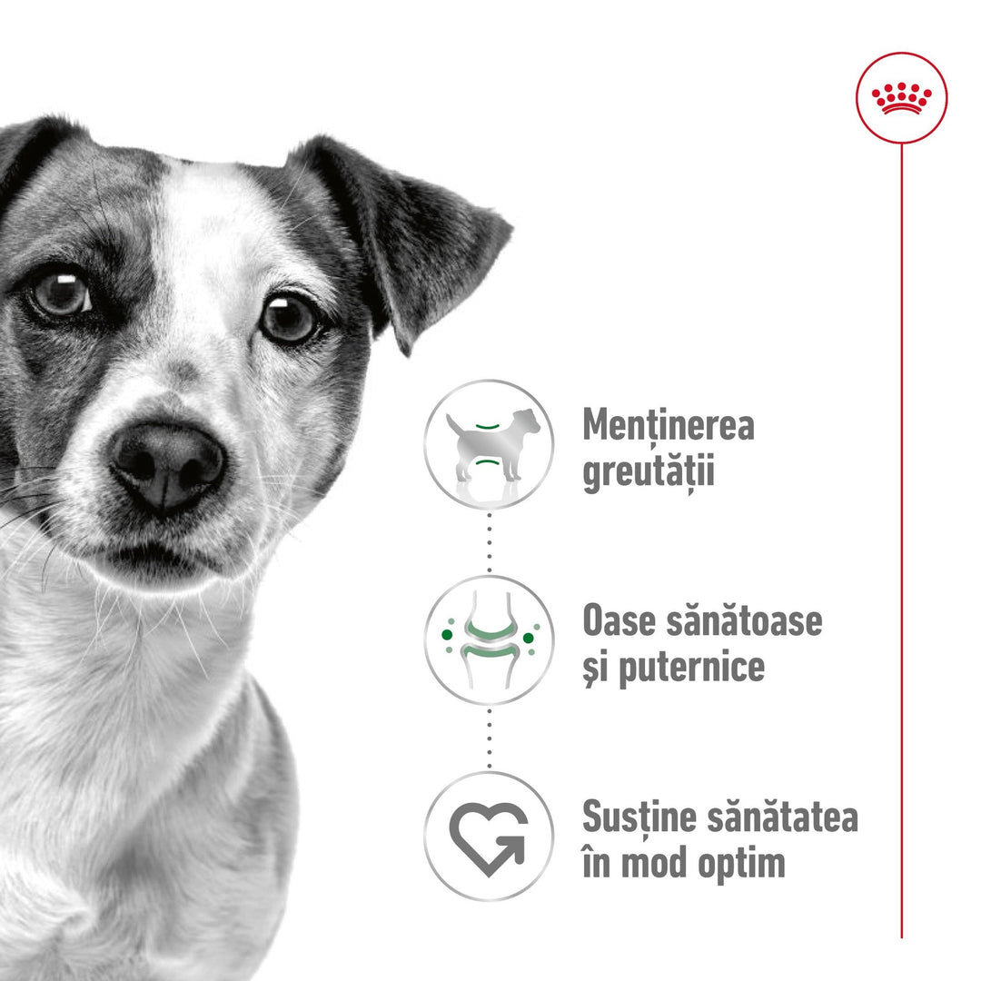 Royal Canin Medium Adult hrana uscata caine, 3 kg