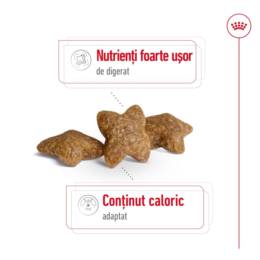 Royal Canin Mini Adult hrana uscata caine, 8 kg