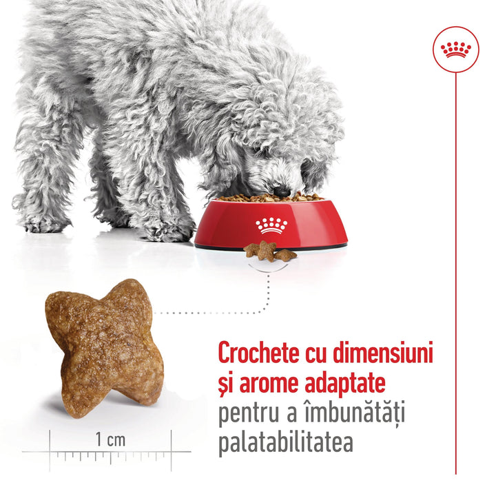 Royal Canin Mini Adult hrana uscata caine, 4 kg
