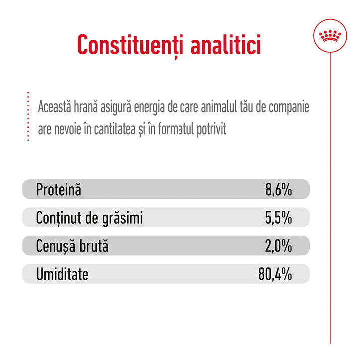 Royal Canin Mini Adult hrana umeda caine (pate), 195 g