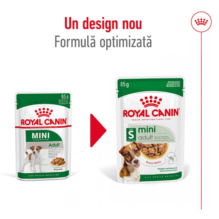 Royal Canin Mini Adult hrana umeda caine (in sos), 12 x 85 g