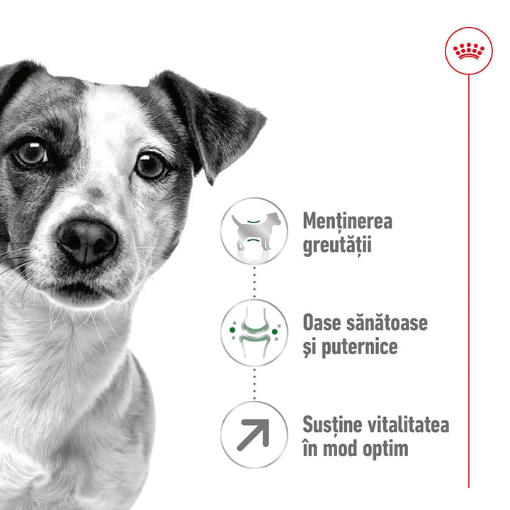 Royal Canin Mini Adult 8+ hrana uscata caine, 2 kg