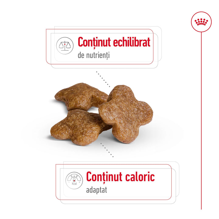 Royal Canin Mini Adult 8+ hrana uscata caine, 8 kg