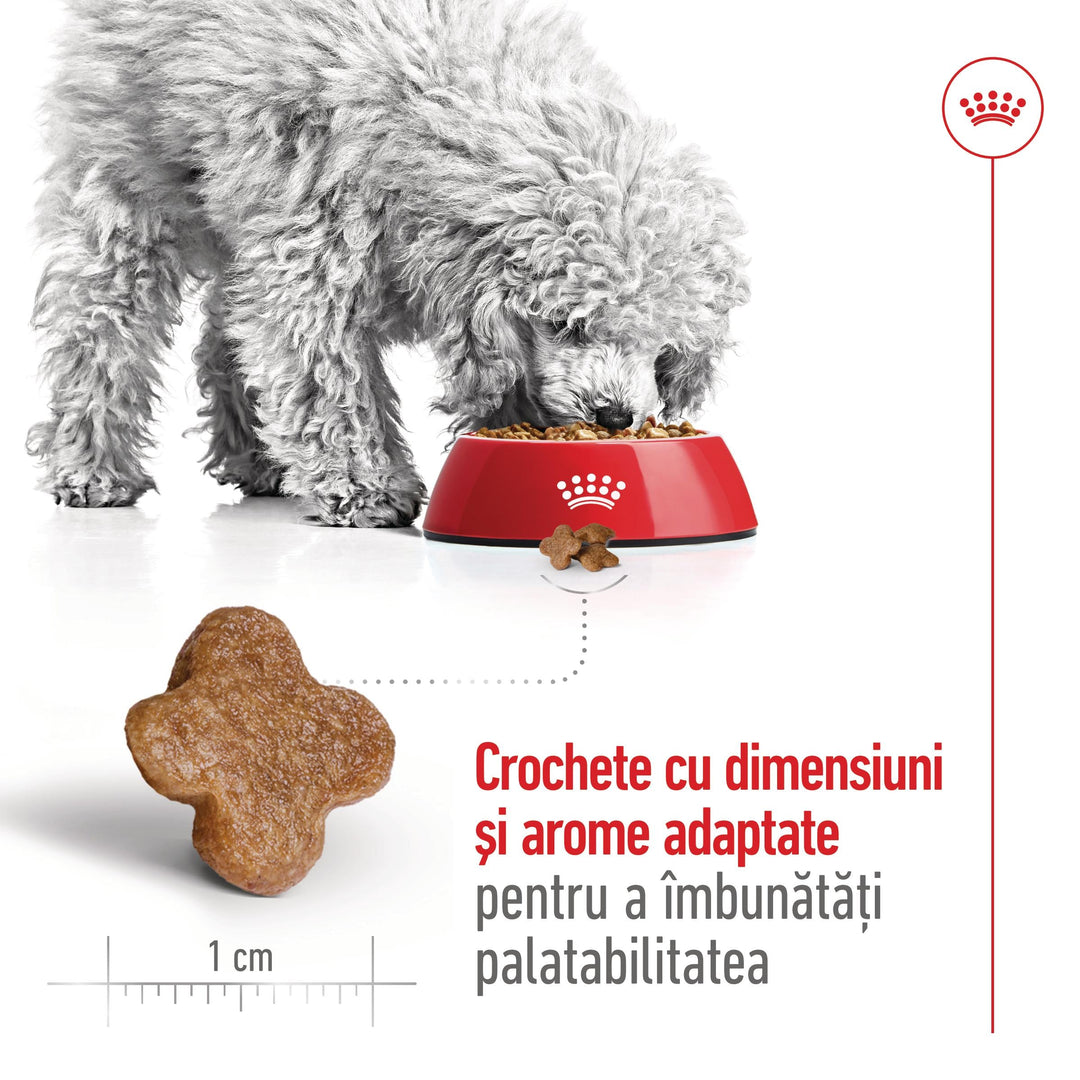 Royal Canin Mini Adult 8+ hrana uscata caine, 8 kg