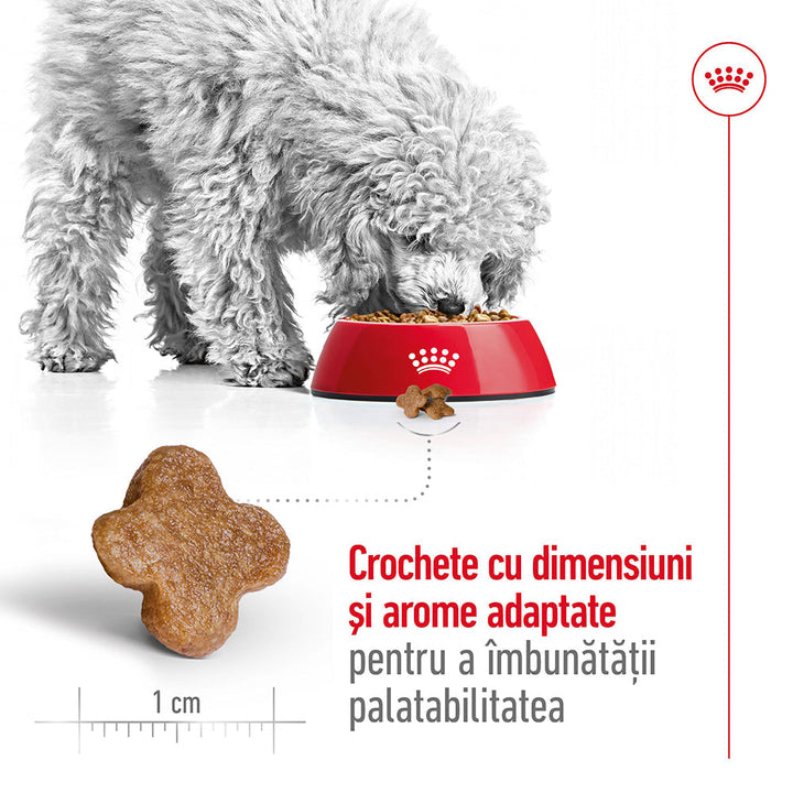 Royal Canin Mini Adult 8+ hrana uscata caine, 2 kg