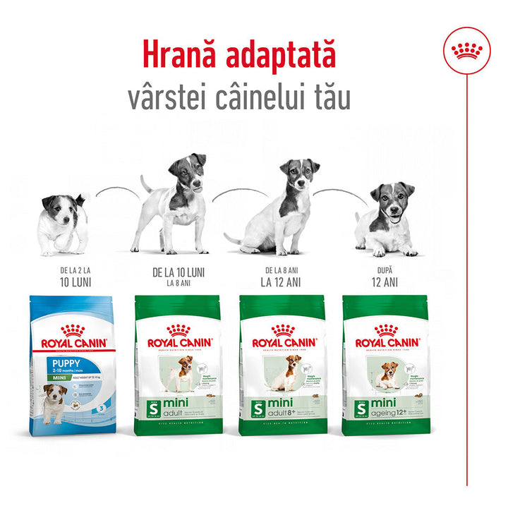 Royal Canin Mini Adult 8+ hrana uscata caine, 2 kg