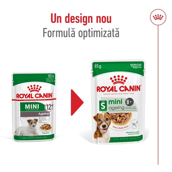 Royal Canin Mini Ageing 12+ hrana umeda caine senior (in sos), 12 x 85 g