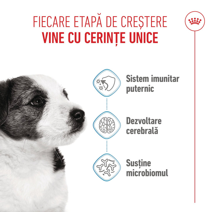 Royal Canin Mini Puppy hrana uscata caine junior, 2 kg