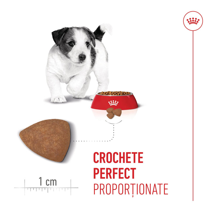 Royal Canin Mini Puppy hrana uscata caine junior, 800 g