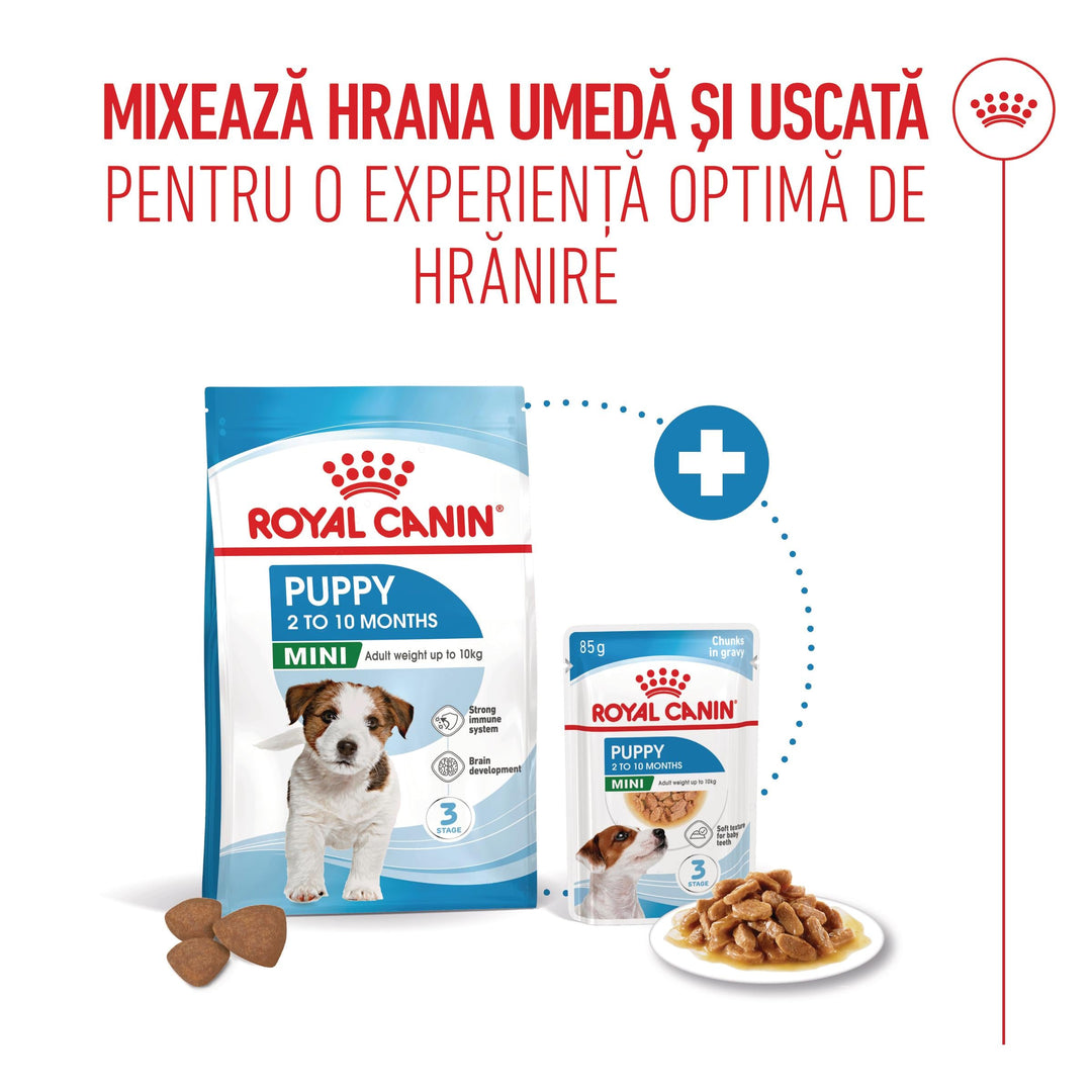 Royal Canin Mini Puppy hrana uscata caine junior, 800 g