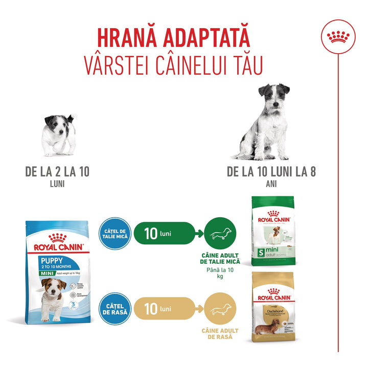 Royal Canin Mini Puppy hrana uscata caine junior, 800 g