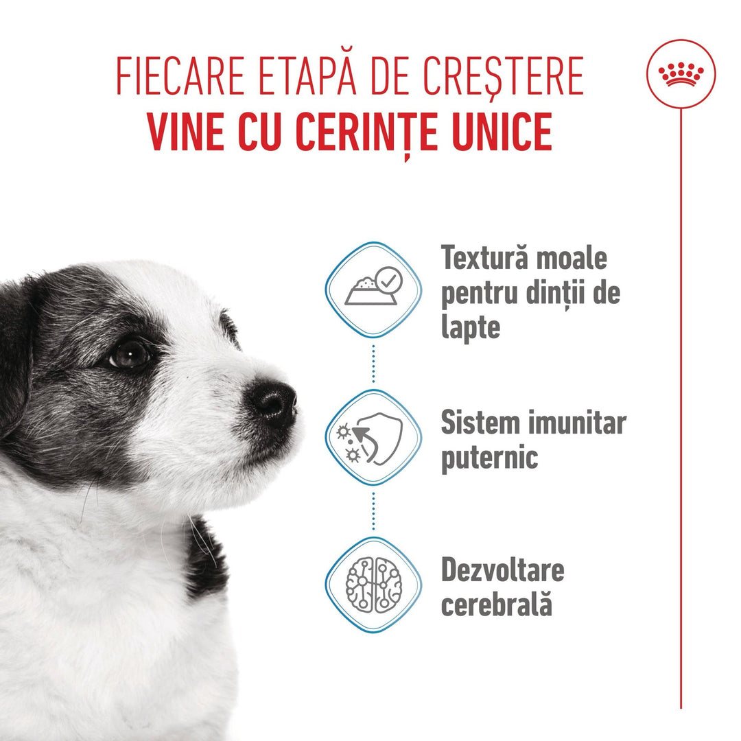 Royal Canin Mini Puppy hrana umeda caine junior (in sos), 12 x 85 g