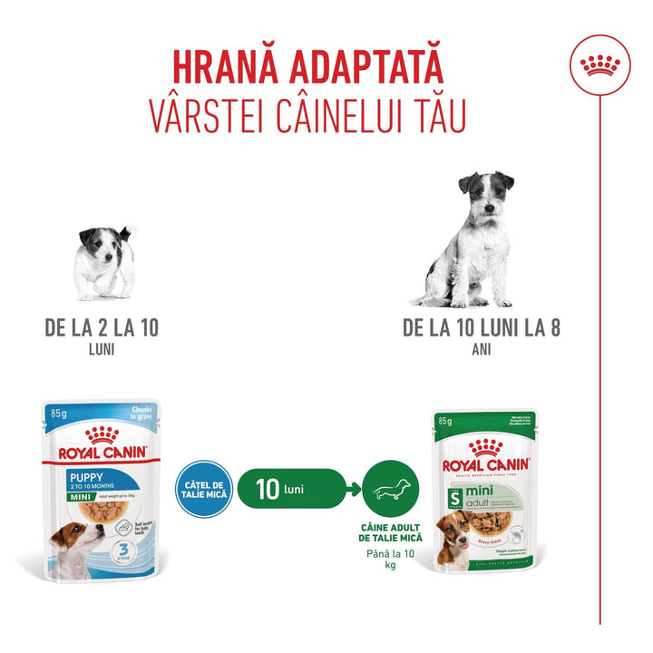 Royal Canin Mini Puppy hrana umeda caine junior (in sos), 12 x 85 g