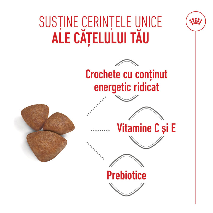 Royal Canin Mini Starter Mother &amp; BabyDog, mama si puiul, hrana uscata caini, 1kg