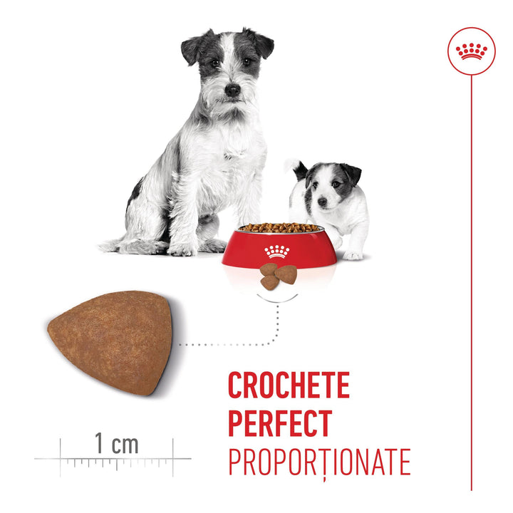 Royal Canin Mini Starter Mother &amp; Babydog, mama si puiul, hrana uscata caine, 8 kg