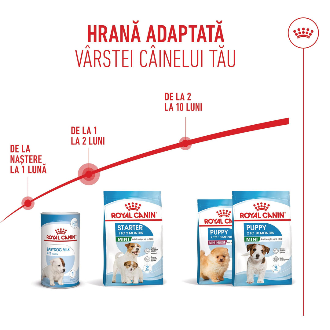 Hrana Uscata Caini Royal Canin 306750 | Mini, Starter, 8kg