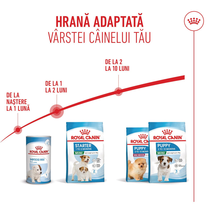 Hrana Uscata Caini Royal Canin 306750 | Mini, Starter, 8kg
