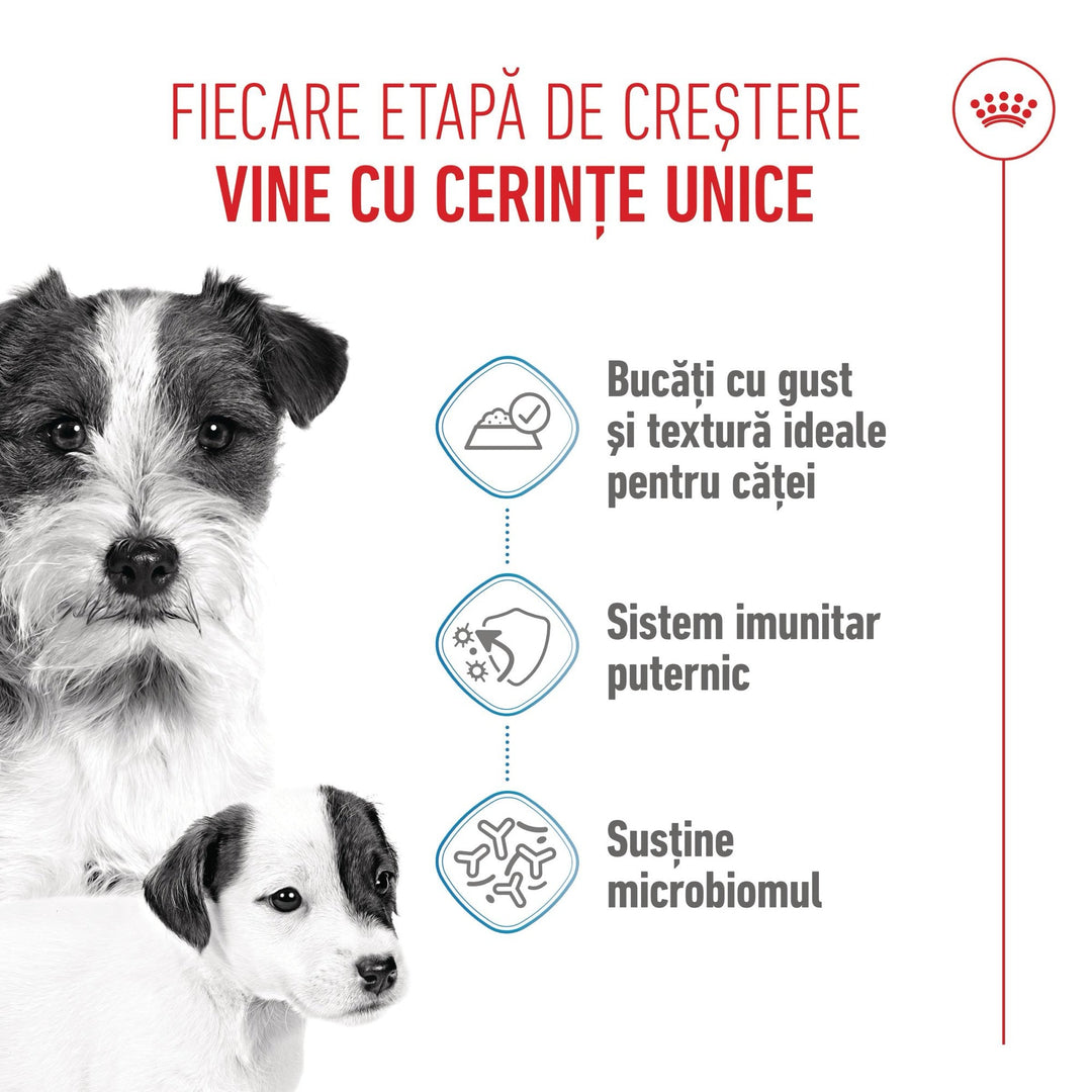 Royal Canin Starter Mousse, mama si puiul, hrana umeda caine (textura spumoasa), 195 g