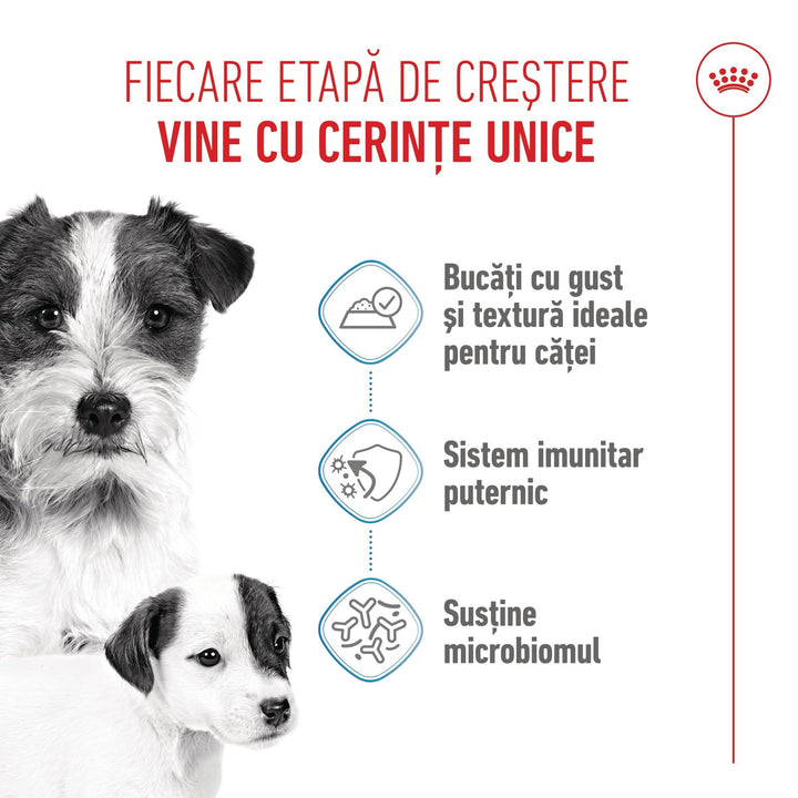 Royal Canin Starter Mousse, mama si puiul, hrana umeda caine (textura spumoasa), 195 g