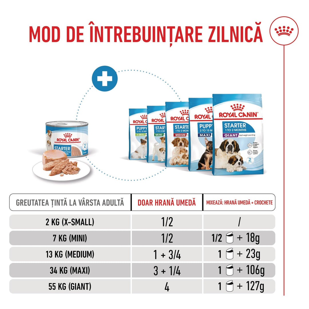 Hrana Umeda Caini Royal Canin BW19V | Starter, Mousse, 195g