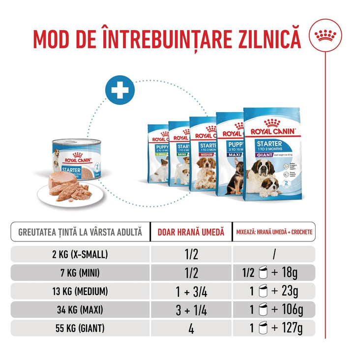 Hrana Umeda Caini Royal Canin BW19V | Starter, Mousse, 195g