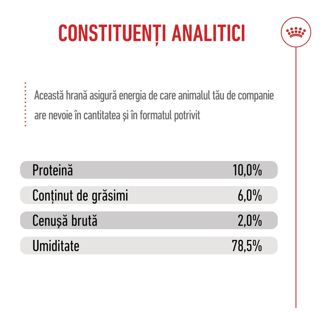 Hrana Umeda Caini Royal Canin BW19V | Starter, Mousse, 195g