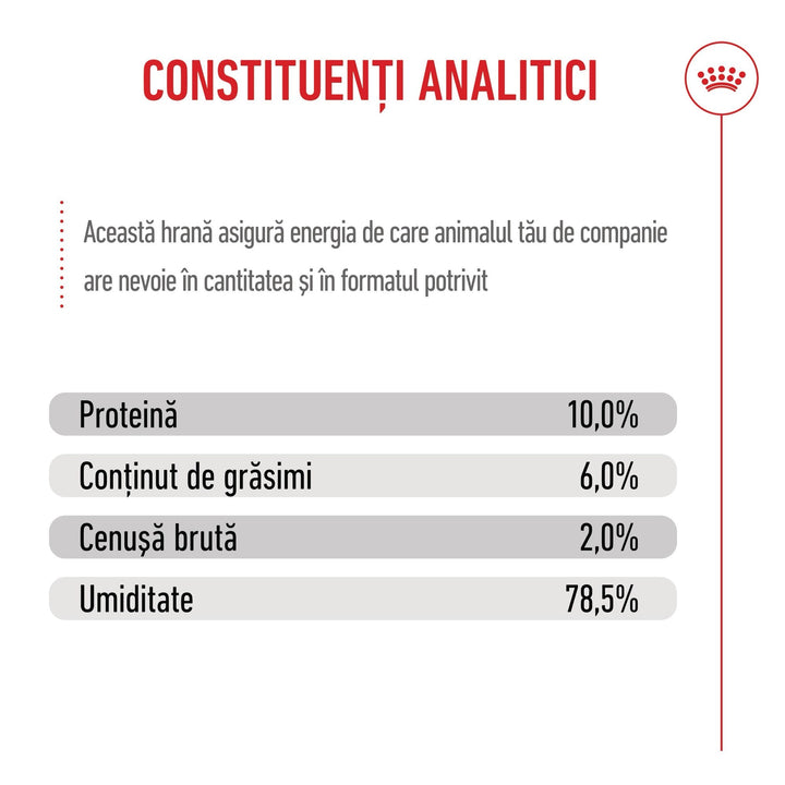 Hrana Umeda Caini Royal Canin BW19V | Starter, Mousse, 195g