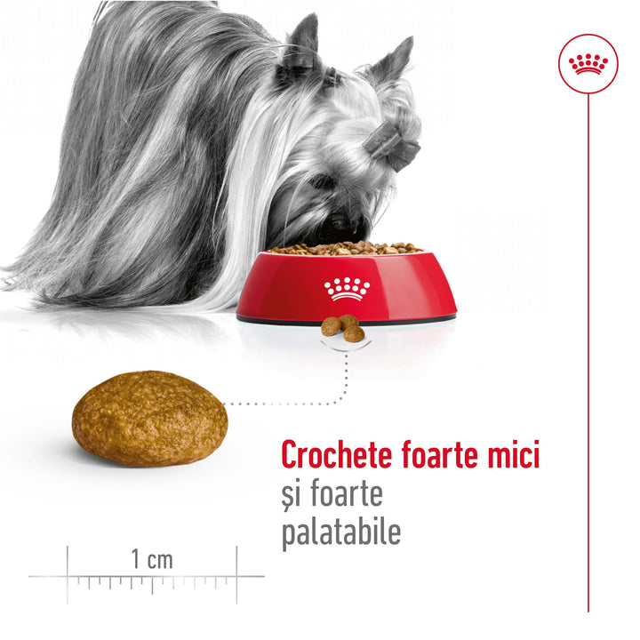 Royal Canin X-Small Adult hrana uscata caine, 1.5 kg