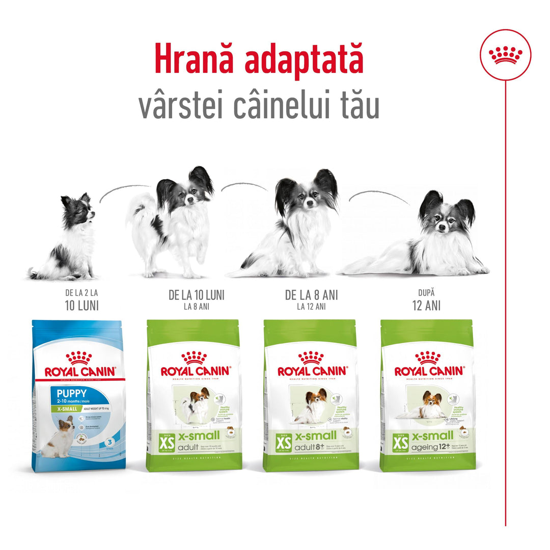 Royal Canin X-Small Adult, hrana uscata caini, 3kg