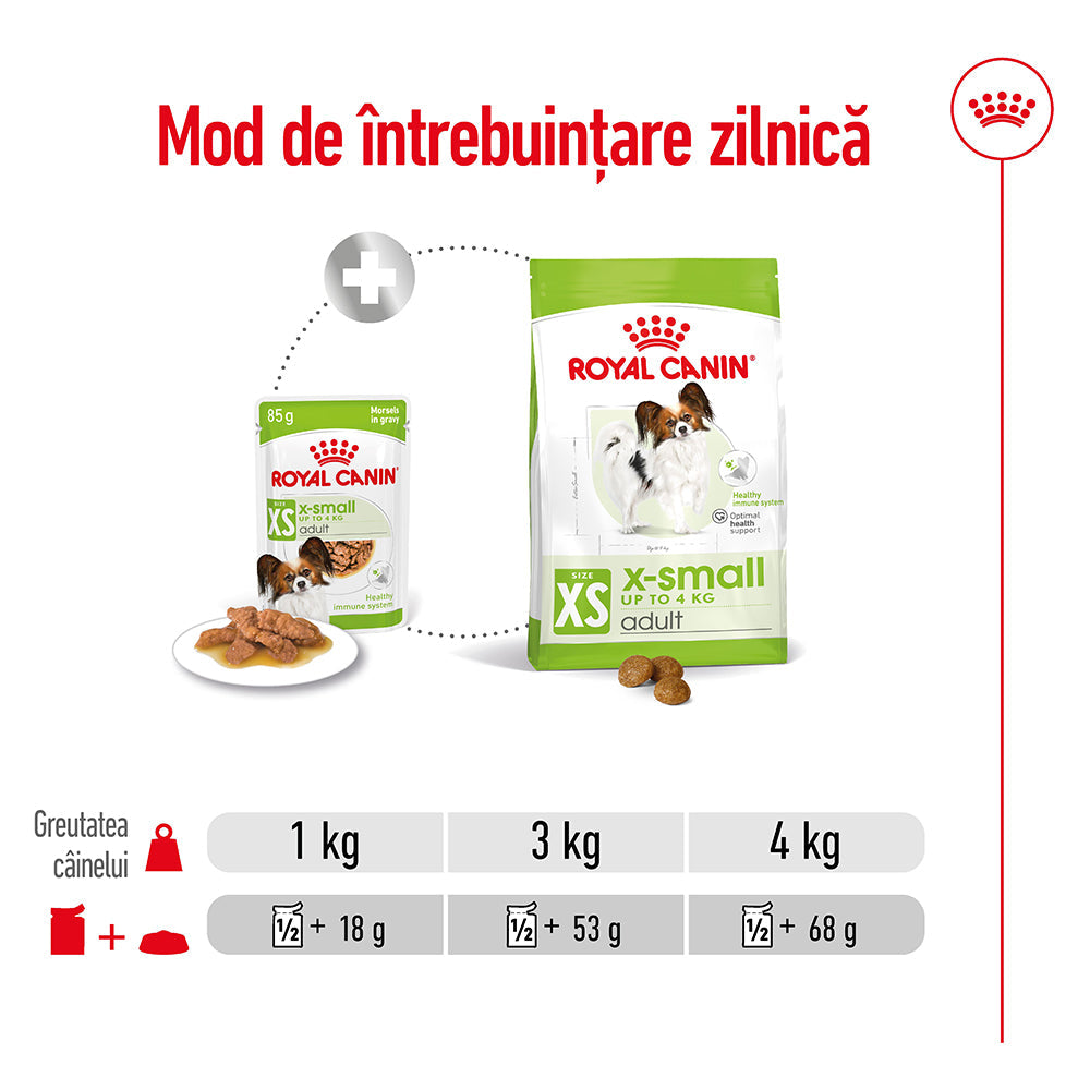 Royal Canin X-Small Adult hrana umeda caine (in sos), 12 x 85 g