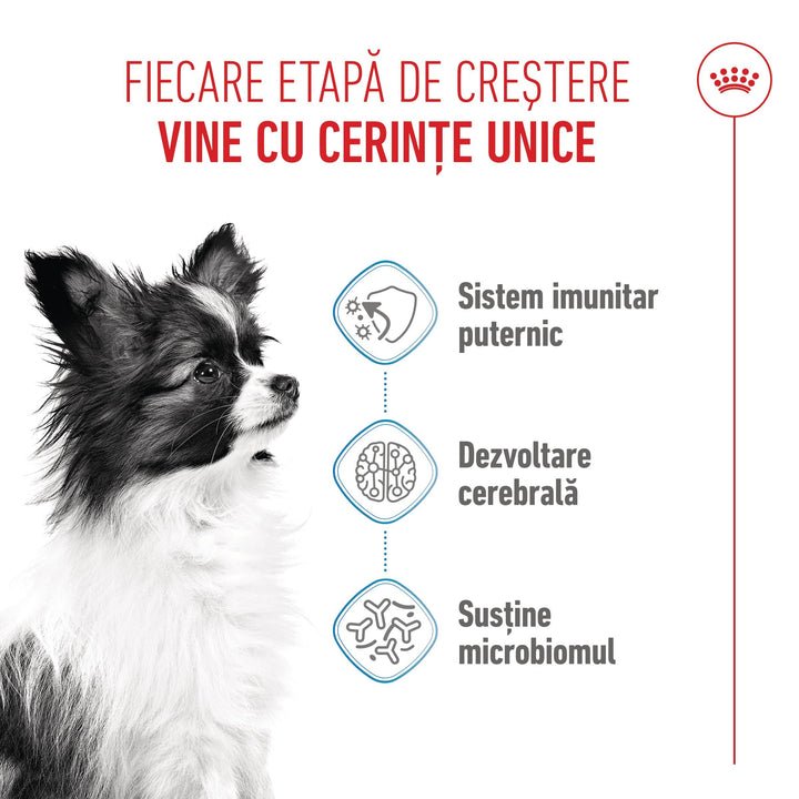 Royal Canin X-Small Puppy hrana uscata caine junior, 1.5 kg