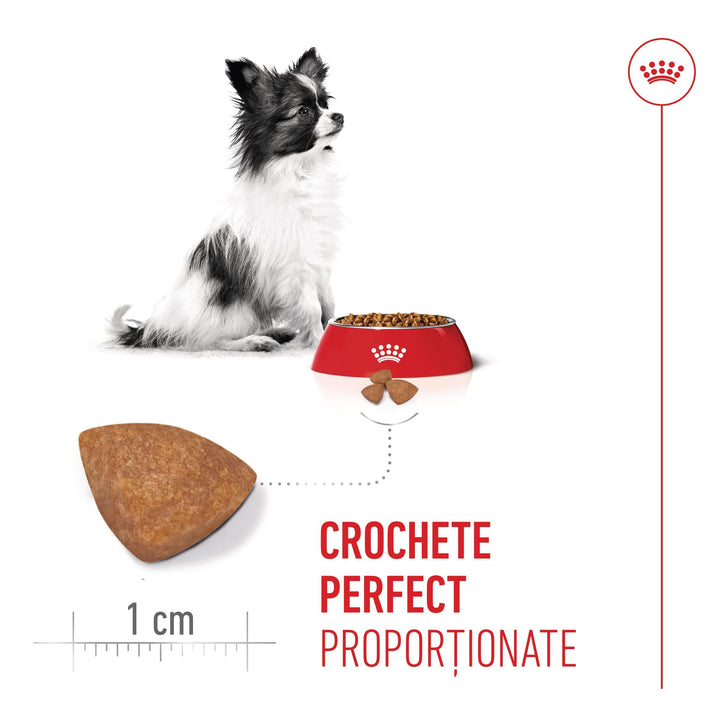 Royal Canin X-Small Puppy hrana uscata caine junior, 1.5 kg