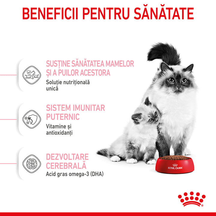 Royal Canin Mother &amp; BabyCat hrana uscata pisica, mama si puiul, 400 g