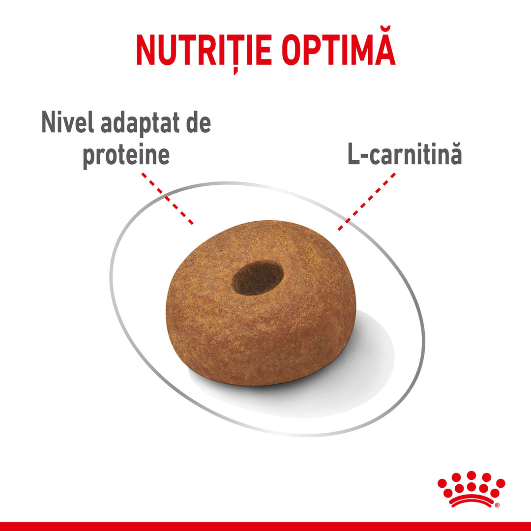 Hrana Uscata Caini Royal Canin 305350 | Maxi, Light Weight, 12kg
