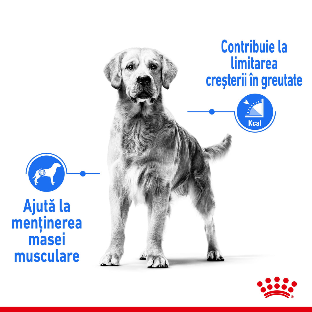 Royal Canin Medium Light Weight Care Adult hrana uscata caine, limitarea cresterii in greutate, 3 kg