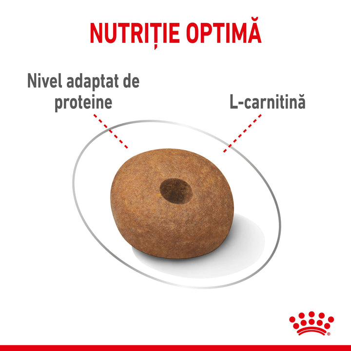 Hrana Uscata Caini Royal Canin 305340 | Medium, Light Weight, 12kg