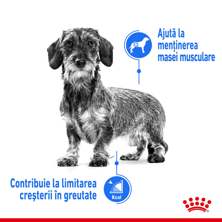 Royal Canin Mini Light Weight Care Adult hrana uscata caine, limitarea cresterii in greutate, 3 kg