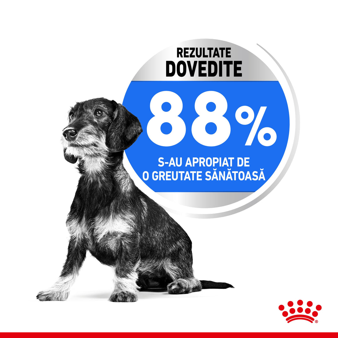 Royal Canin Mini Light Weight Care Adult hrana uscata caine, limitarea cresterii in greutate, 8 kg