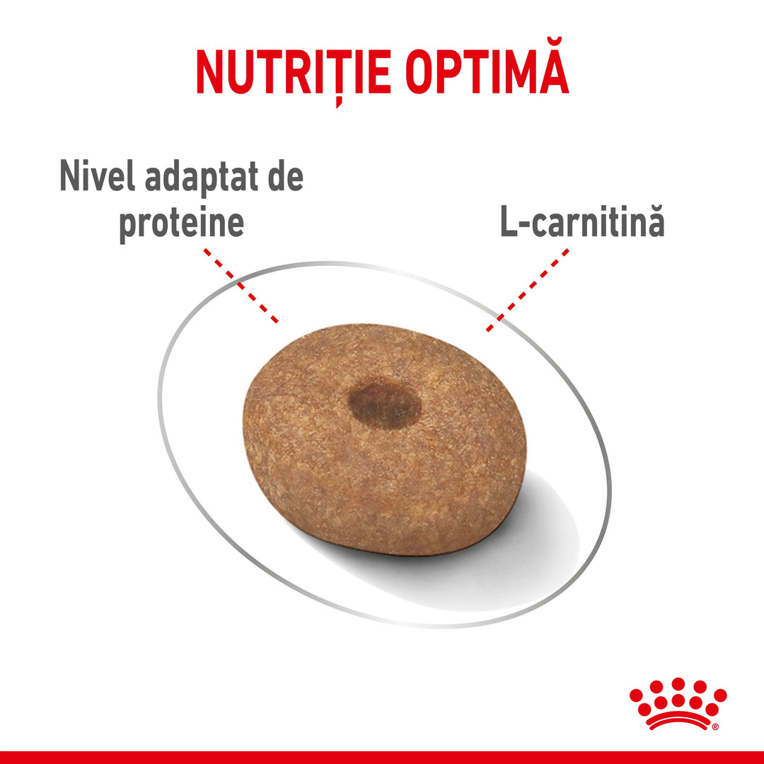 Royal Canin Mini Light Weight Care Adult hrana uscata caine, limitarea cresterii in greutate, 1 kg