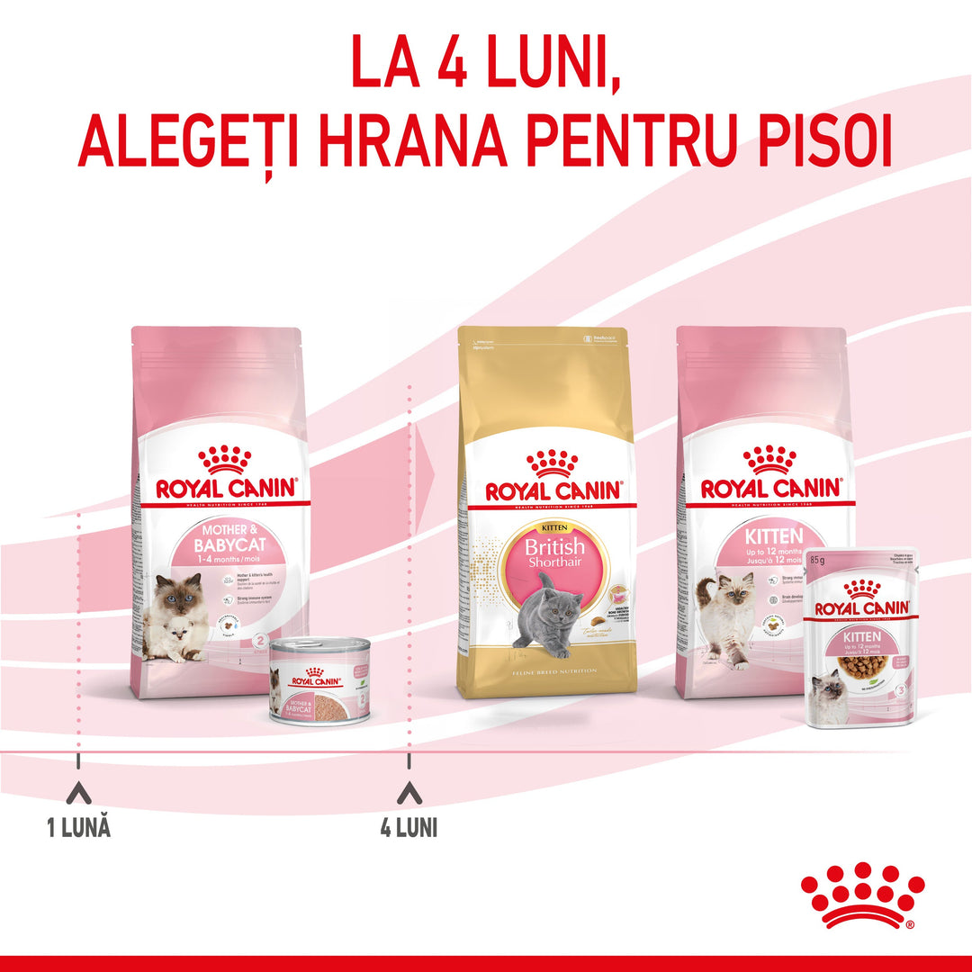 Royal Canin Mother &amp; BabyCat hrana umeda pisica, mama si puiul (textura spumoasa), 195 g