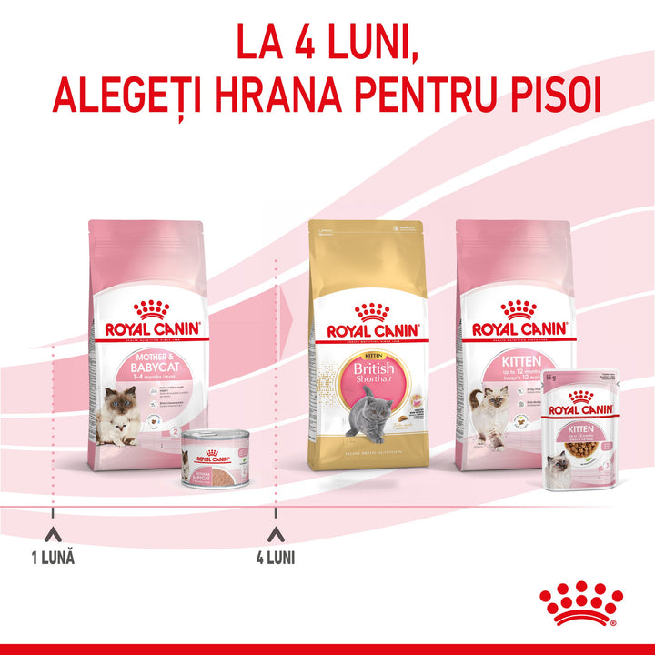 Royal Canin Mother &amp; BabyCat hrana umeda pisica, mama si puiul (textura spumoasa), 195 g